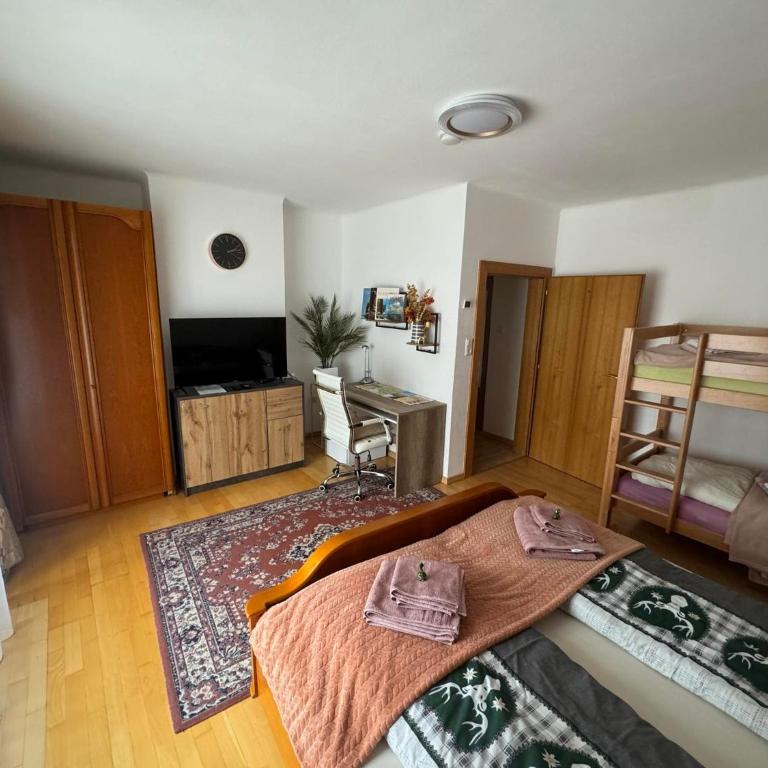 Steinadler Apartments Quiet Location Garden, Private Parking Pet Friendly - Appartement avec Vue sur la Montagne - 20