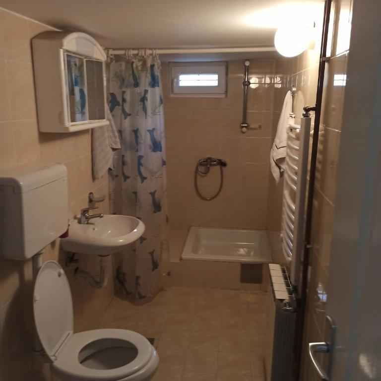 Apartmani vila Todor - Dvokrevetna Soba sa Bračnim Krevetom/Zasebnim Krevetima i Pogledom na Planinu - 4