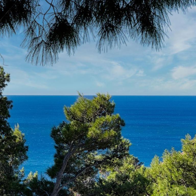 House in the pines - Kuća sa 2 Spavaće Sobe - 4