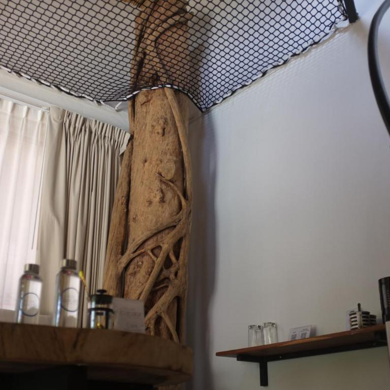 Hotel Circulo Bacalar - Suite con cama extragrande - 23