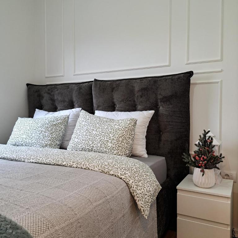 Apartman Vasilisa - Apartman sa 1 Spavaćom Sobom - 28