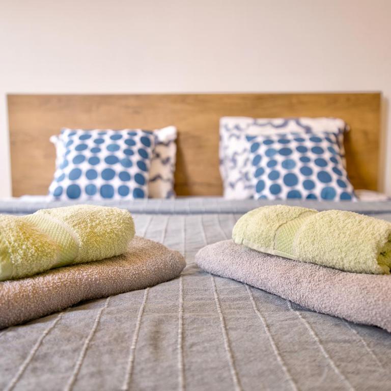 Vračar Central Apartment - Apartman sa 1 Spavaćom Sobom - 13