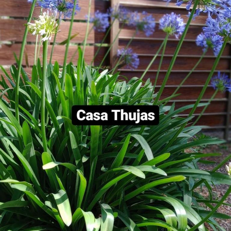 Casa Thujas Cabañas Atahualpa - Casa de 2 dormitorios - 16