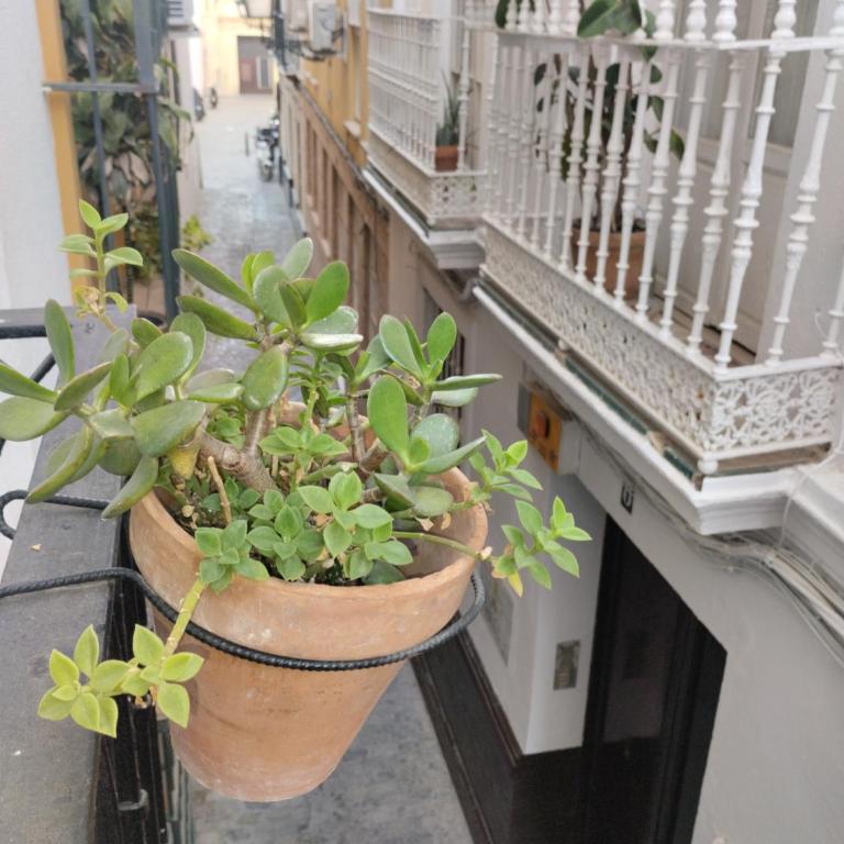 ALOJAMIENTO LANZA en el CORAZÓN DE SEVILLA - Apartamento de 1 dormitorio - 21