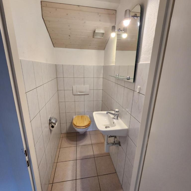 La Villa Joly - Avenches - Haus mit 3 Schlafzimmern - 16