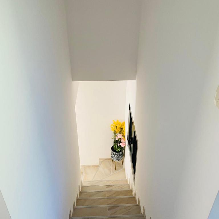 Casa Behar - Villa - Beach Front - 17