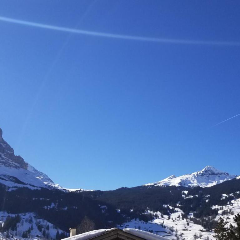 Eigentumswohnung in Grindelwald - Apartment mit 2 Schlafzimmern - 17