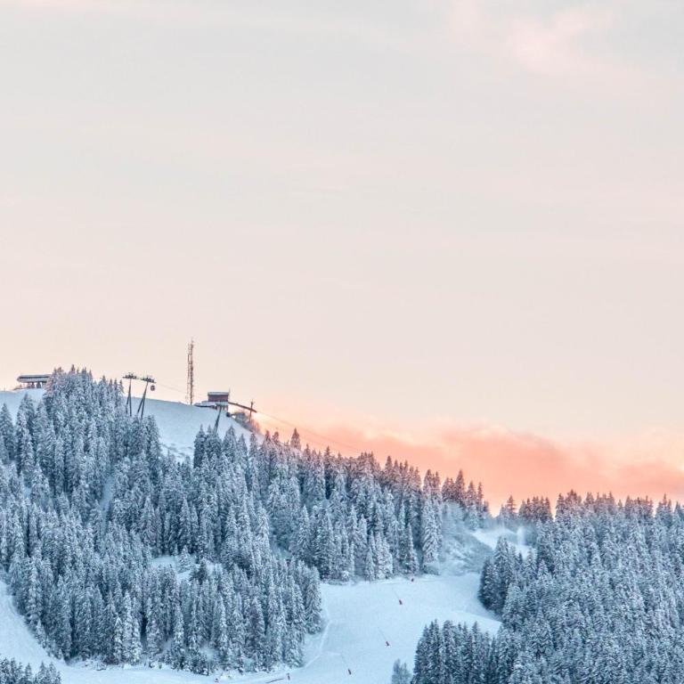 Chalet Mont d'Arbois Ski et Golf - Chalet - 3