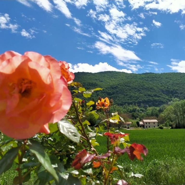 Studio cosy au pied de la montagne - Studio - 20