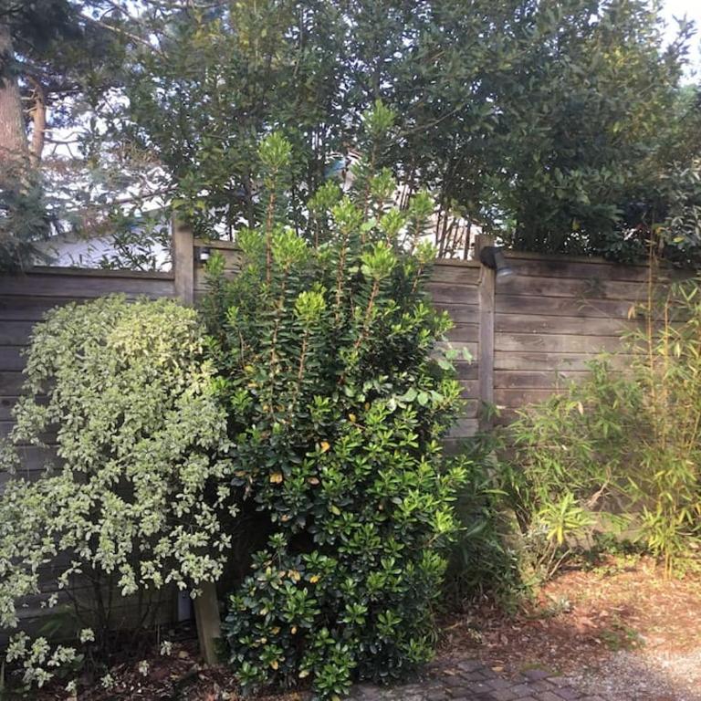 Villa Faustine Arcachon - Five-Bedroom House - 28
