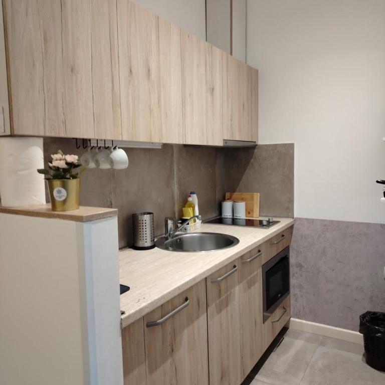 Kopaonik Župa 505 - One-Bedroom Apartment - 6