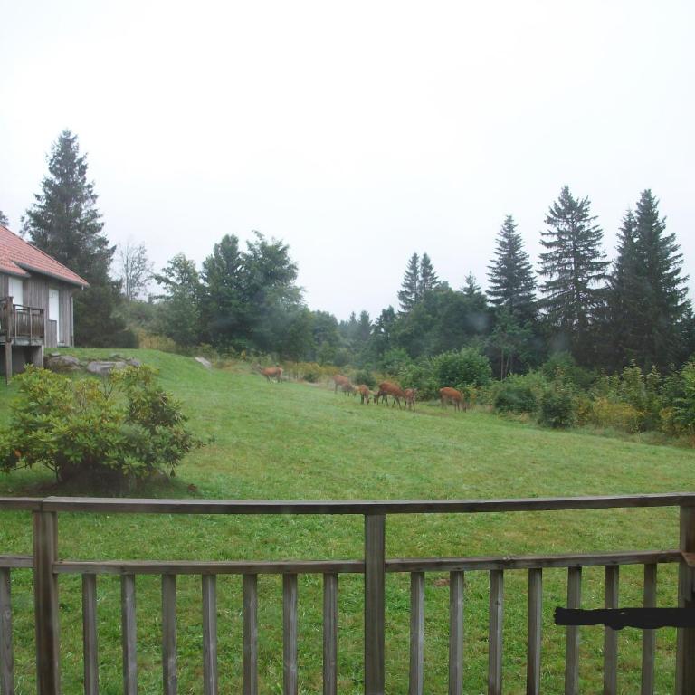 Les Angéliques - Appartement 1 Chambre - 17