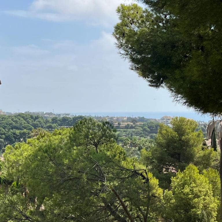 Suite F up, Rio Real, Marbella - One-Bedroom Apartment with Sea View and Balcony - 3