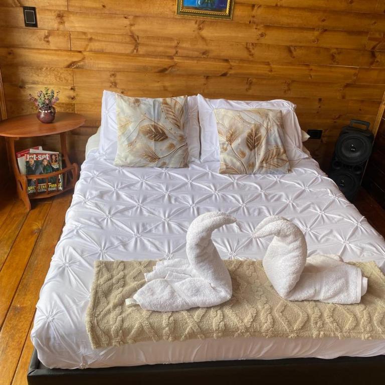 Casita de Palo- para estrenar - One-Bedroom House - 23