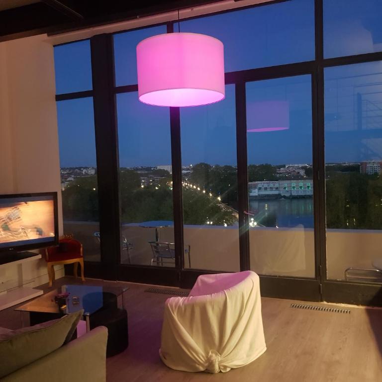 Loft vue fleuve Garonne parking gratuit - Appartement 1 Chambre - 4