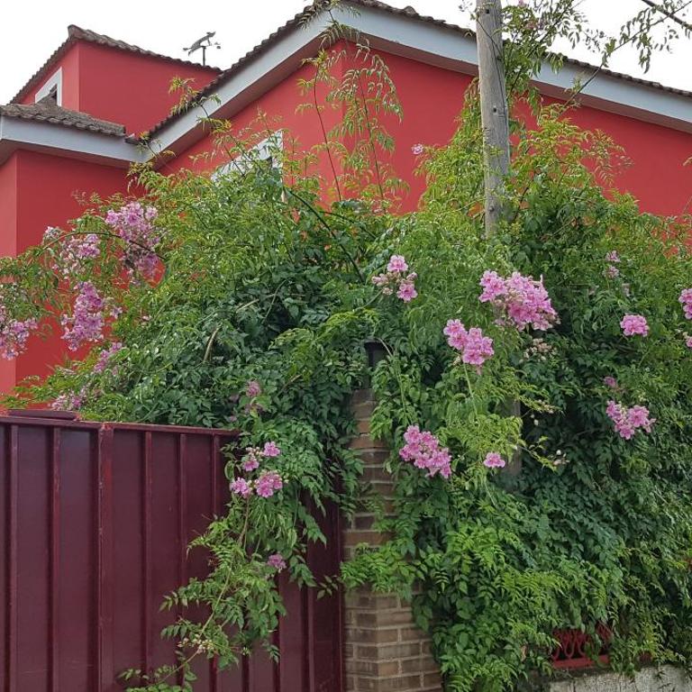 El Campo - Casa - 39