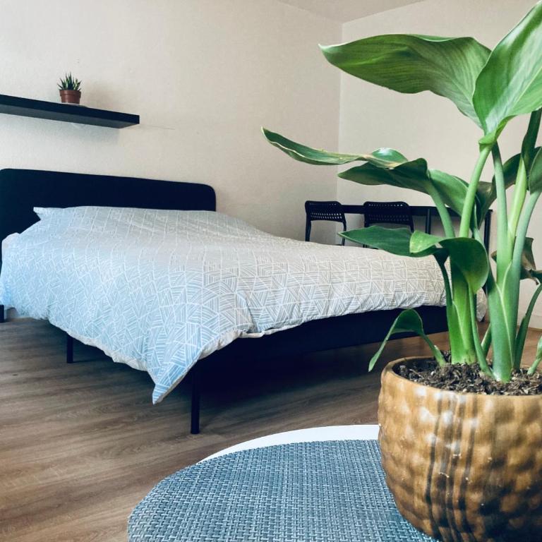 T1 Tout confort aux porte de Strasbourg - Apartamento de 1 dormitorio - 1