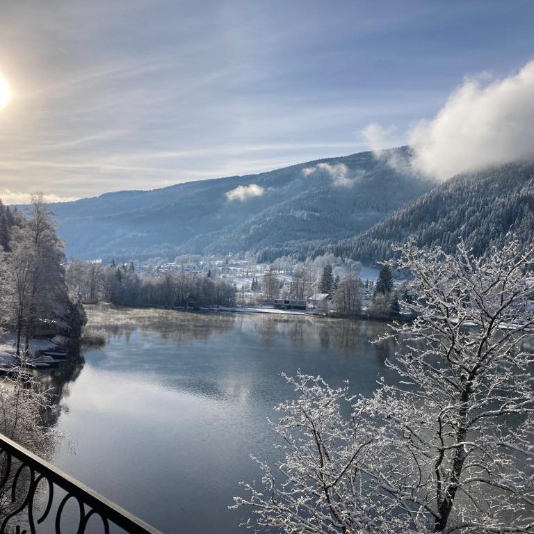 SeeBrauer - Apartment mit Aussicht und Balkon - 15