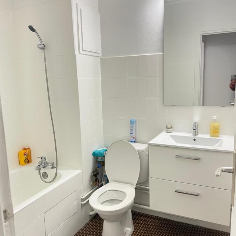 Charmant Studio Tete dor lyon - Appartement 1 Chambre - 8