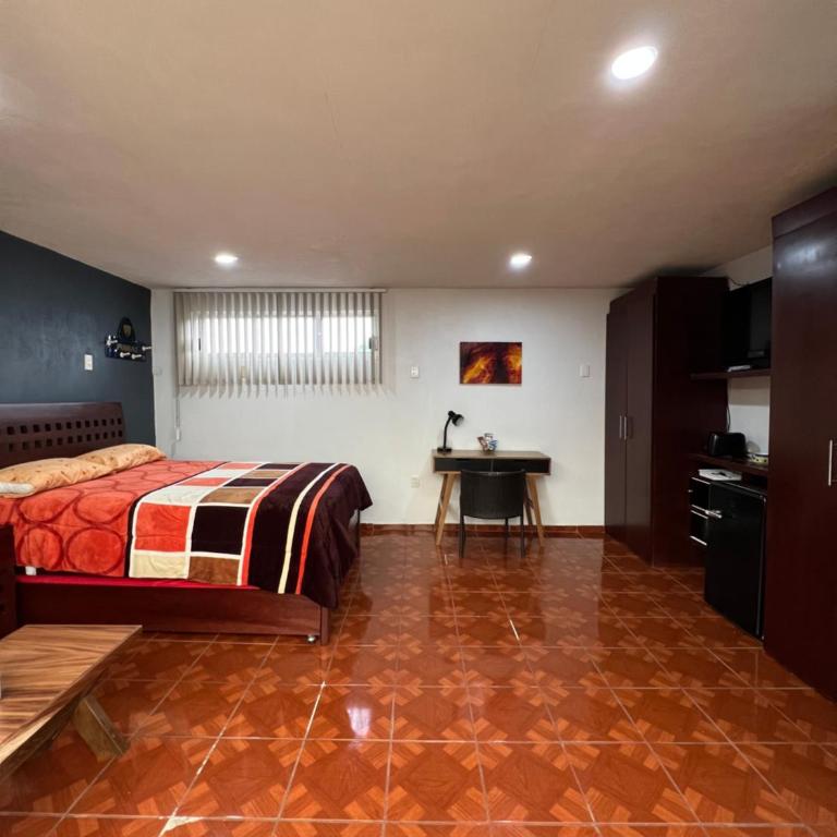 Cómoda habitación en Coyoacán - Habitación Doble con terraza - 1