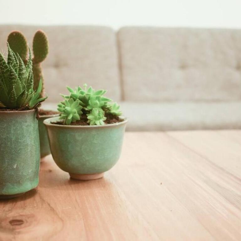 Departamento entero, hermosa vista al parque - 4 camas - Apartamento de 3 dormitorios con vistas - 4