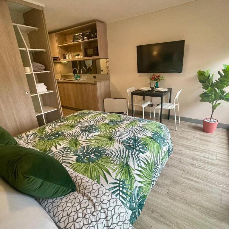 Lindo Estudio con parking gratis - Apartamento - 33