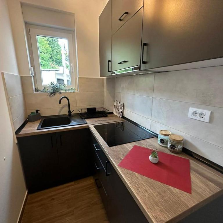 Apartman Pavlović - Apartman sa 1 Spavaćom Sobom - 5