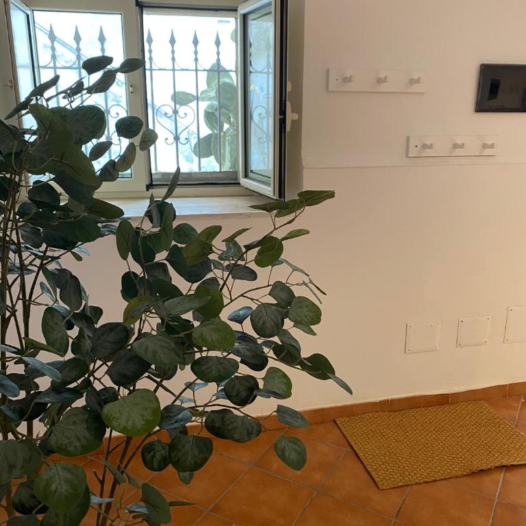 Cortile Benedettini - Appartamento con 1 Camera da Letto - 12