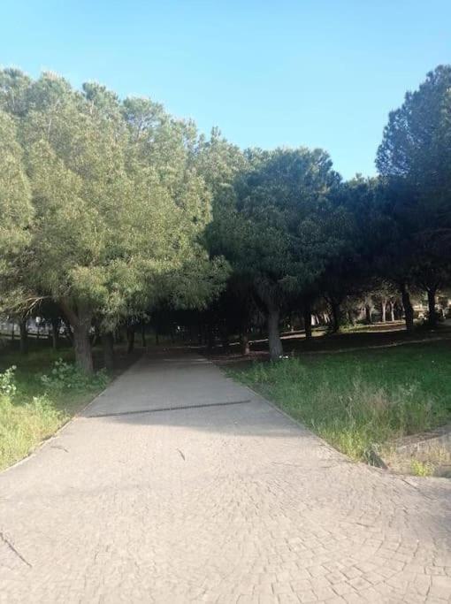 Apartamento Jara, playa, piscina, AC, Wi-Fi - Apartamento de 1 dormitorio - 33