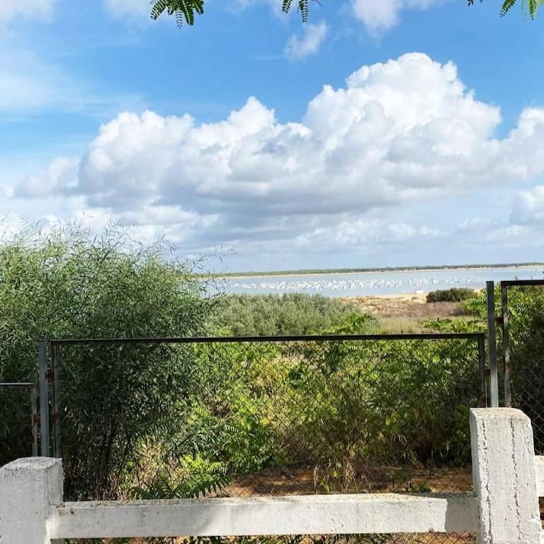 Apartamento Jara, playa, piscina, AC, Wi-Fi - Apartamento de 1 dormitorio - 35