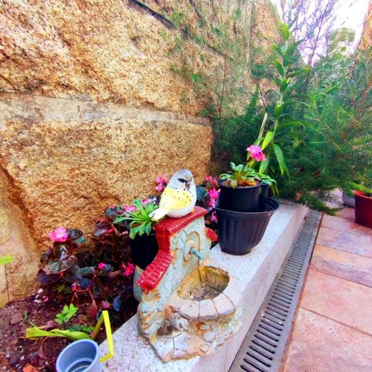 CasaPuri - Apartamento de 2 dormitorios - 37