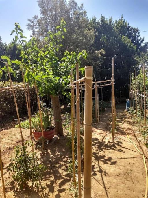 Appartamento in Casa Pilar con piscina - Casa con 2 Camere da Letto - 23