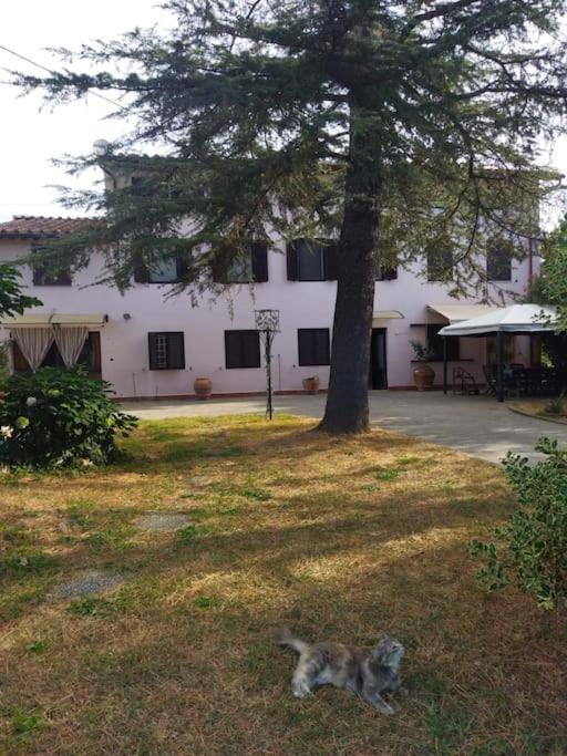 Appartamento in Casa Pilar con piscina - Casa con 2 Camere da Letto - 24