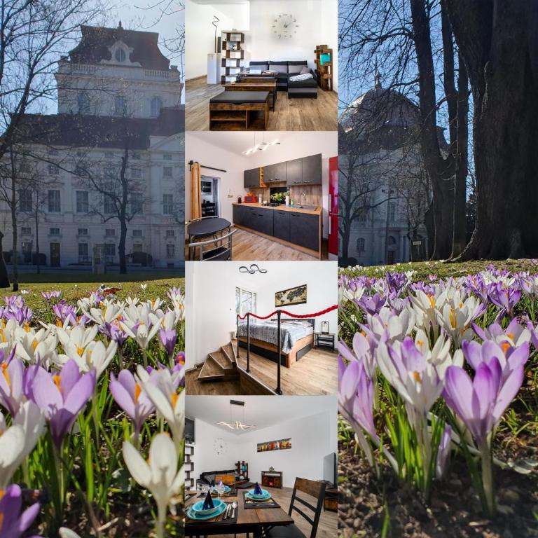 Top at Park, das luxuriöse Appartement mit Terrasse und Parkplatz im Herzen von Graz - Apartment mit 1 Schlafzimmer - 1