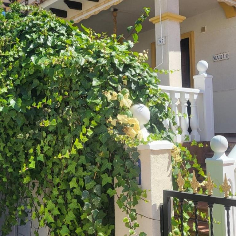 Casa Mario, La Zenia Boulevard area,fantastic 2 bedrooms, 2 bathrooms house with communal swimming pool and barbecue - Apartamento de 2 dormitorios - 2