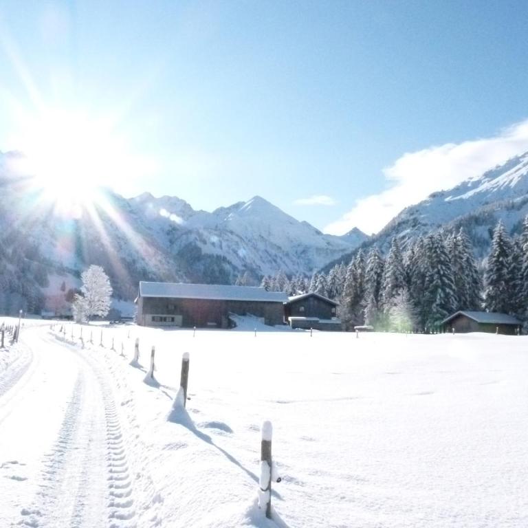 Bergzeit Ferienwohnungen - Apartamento con vistas a la montaña - Número 2 - 12