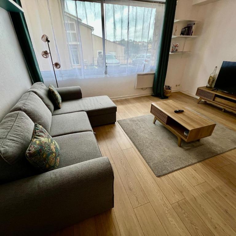 Le Saint-Hilaire - appartement calme + parking - Appartement - 11