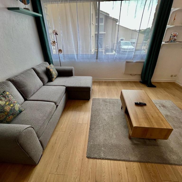 Le Saint-Hilaire - appartement calme + parking - Appartement - 12