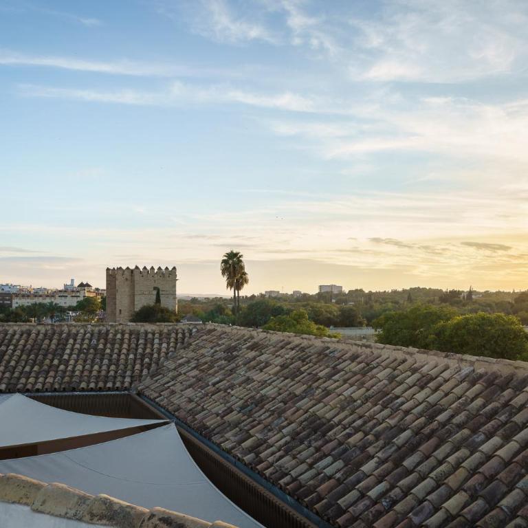 Tandem Torre de la Calahorra - Apartamento Superior con vistas a la ciudad - 12