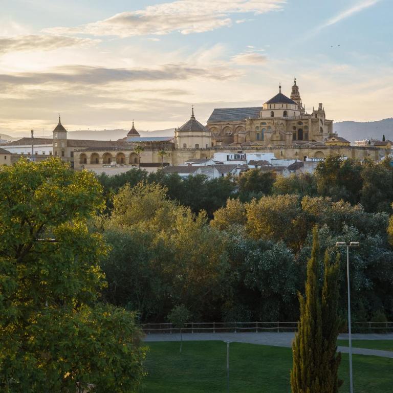 Tandem Torre de la Calahorra - Apartamento superior con vistas a la Mezquita - 14