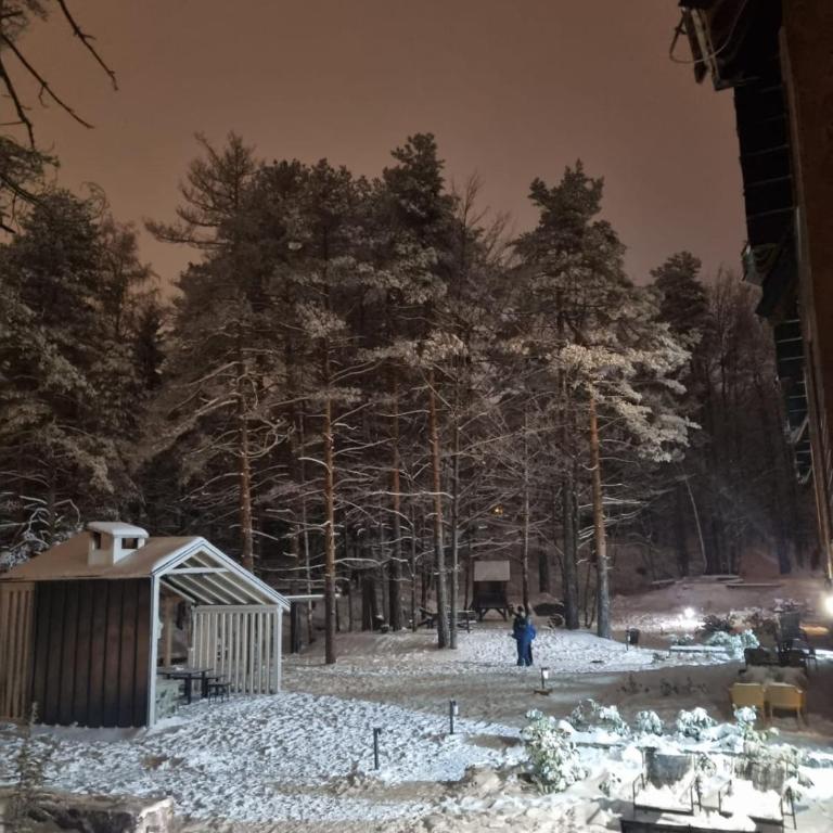 Apartman DETLIĆ Divčigora - Apartman sa 1 Spavaćom Sobom - 26