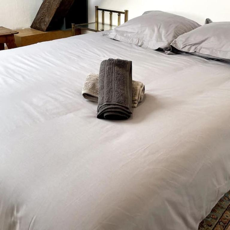 Clim-Ascenseur T2 Capitole à 5' Gare à 7' - Appartamento con 1 Camera da Letto - 7