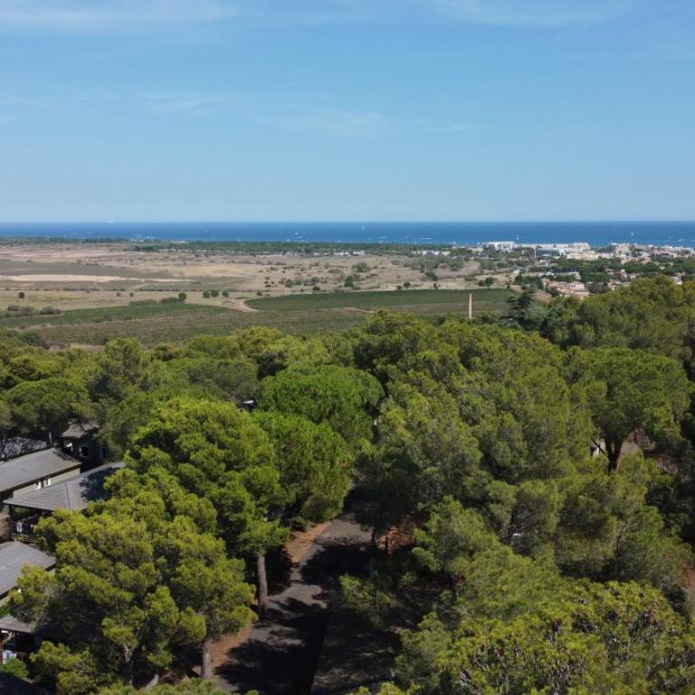 Chalet familial entre les pins - Chalet 2 Chambres - 1