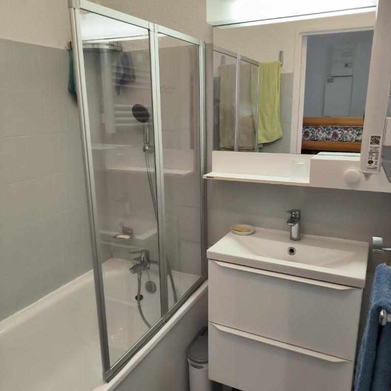 Duplex - Vue imprenable - La Singlantane - Apartment mit Seeblick - 13