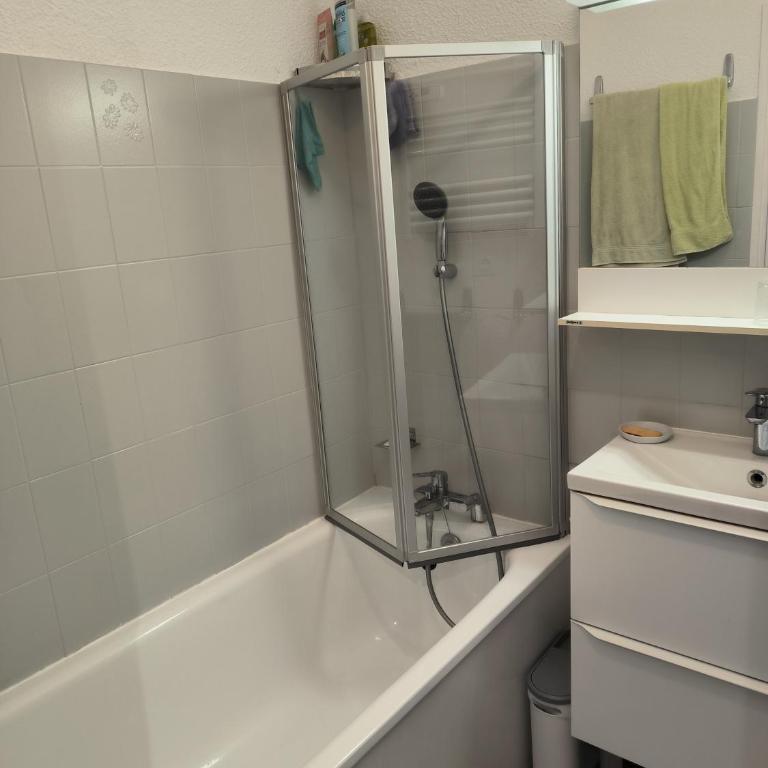 Duplex - Vue imprenable - La Singlantane - Apartment mit Seeblick - 14