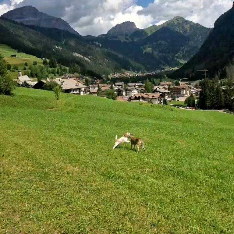 Cèsa Cherpei - Dog Friendly - Camera Tripla con Vista Montagna - 23