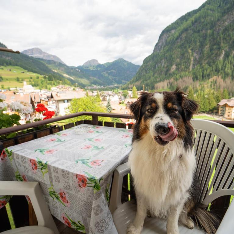 Cèsa Cherpei - Dog Friendly - Camera Tripla con Vista Montagna - 4