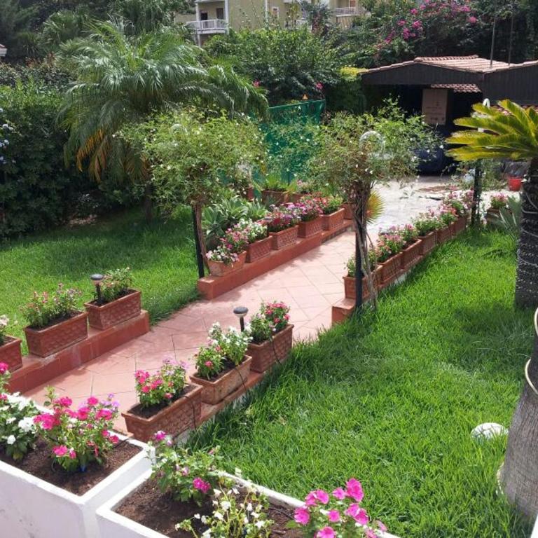 Oasis Green Villa - Villa con Piscina Privata - 13