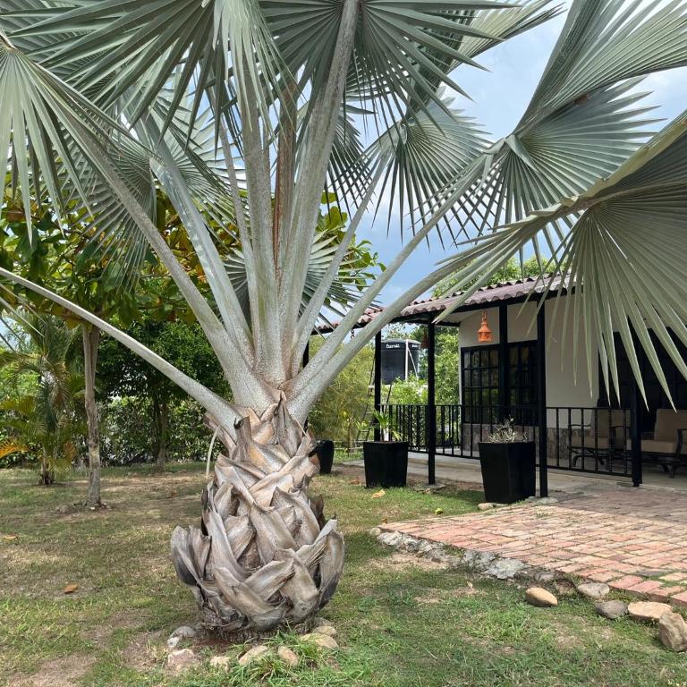 Villa Gloria - Carmen de Apicalá - Three-Bedroom House - 25