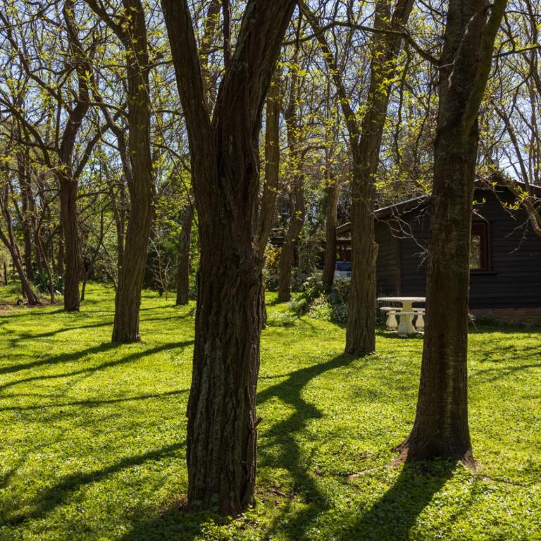 La Casita - One-Bedroom House - 13